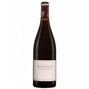 Domaine Alain Burguet Les Pince Vin - Bourgogne - Red - 2023