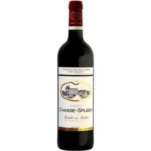 Château Chasse-Spleen - Moulis-en-Médoc - Red - 2019