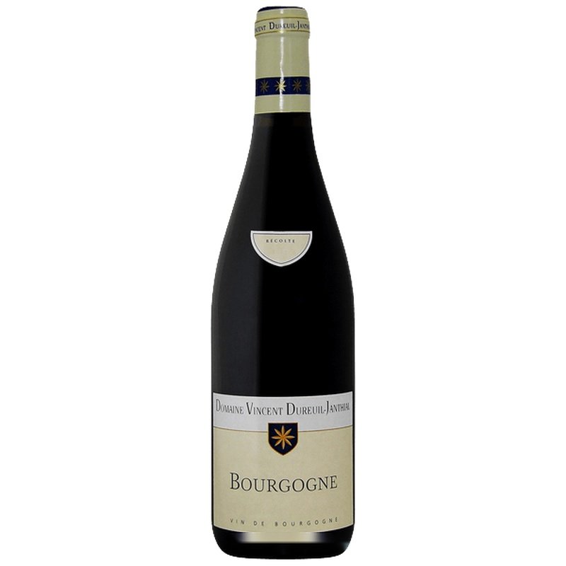 Domaine Vincent Dureuil-Janthial Bourgogne Pinot Noir - Bourgogne - Red - 2020