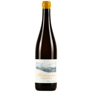 Boudignon Thibaud - Savennieres Clos De La Hutte - White - 2021