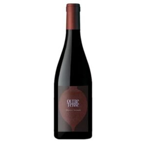 Domaine Des Roches Neuves - Saumur Champigny Outre Terre - Red - 2019