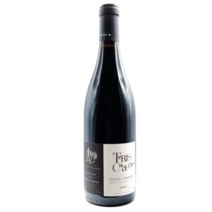 Domaine Des Roches Neuves - Saumur Champigny Terres Chaudes - Red - 2021