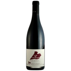 Domaine Des Roches Neuves - Saumur Champigny Clos De L'Echelier - Red - 2019