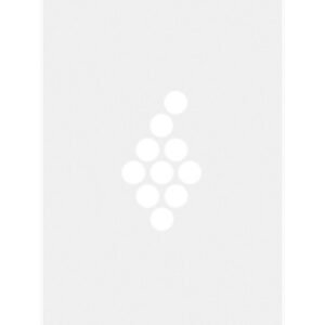 Ferret J A - Pouilly Fuisse - White - 2021