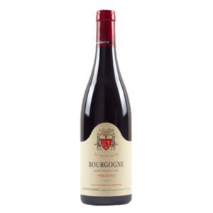 Geantet Pansiot - Bourgogne Pinot Fin - Red - 2021