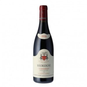 Geantet Pansiot - Bourgogne Pinot Noir Les Bons Batons - Red - 2021