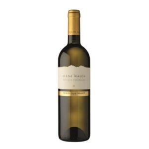Elena Walch Müller Thurgau - Vigneti delle Dolomiti - White - 2025